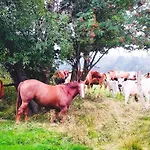 Apaluza - Góry Izerskie&karkonosze * Kopaniec