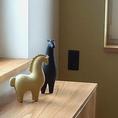 Apaluza - Gory Izerskie & Karkonosze شقة Kopaniec