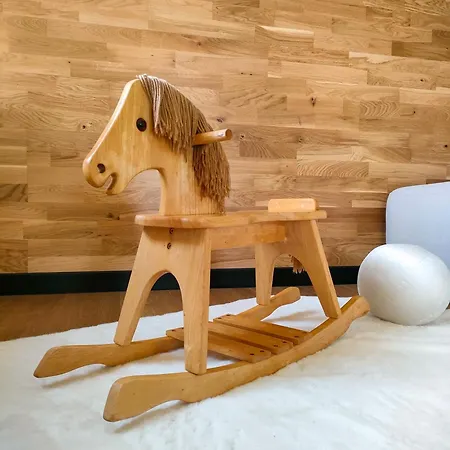 Apaluza - Gory Izerskie & Karkonosze Apartmán