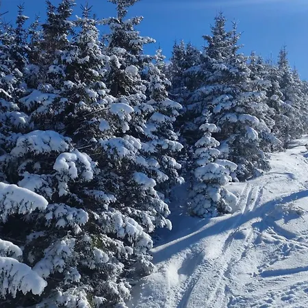 Apartmán Apaluza - Gory Izerskie & Karkonosze