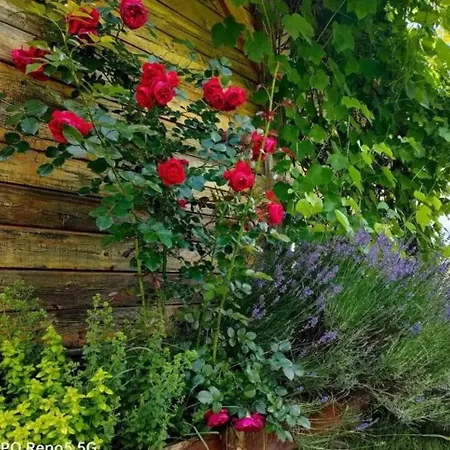 Apartmán Apaluza - Gory Izerskie & Karkonosze