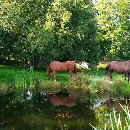 شقة Apaluza - Gory Izerskie & Karkonosze