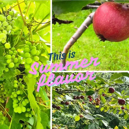 شقة Apaluza - Gory Izerskie & Karkonosze