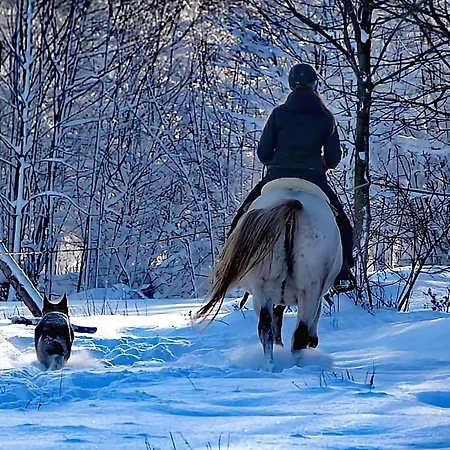 شقة Apaluza - Gory Izerskie & Karkonosze *