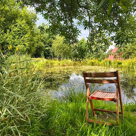 Apaluza - Gory Izerskie & Karkonosze *