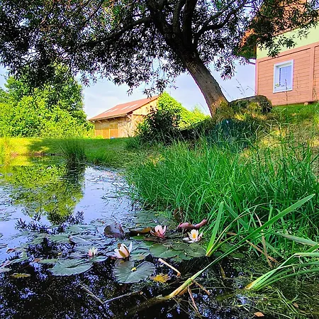 Apaluza - Gory Izerskie & Karkonosze شقة Kopaniec