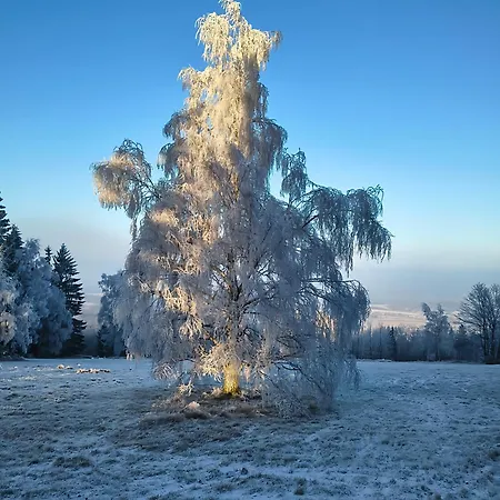 Apaluza - Gory Izerskie & Karkonosze *