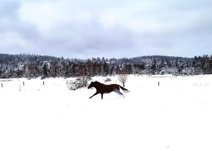 Apaluza - Gory Izerskie & Karkonosze Kopaniec