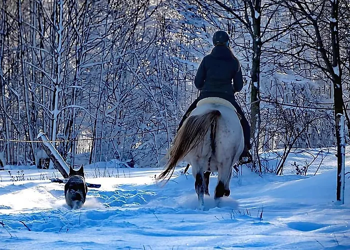 아파트 Apaluza - Gory Izerskie & Karkonosze *