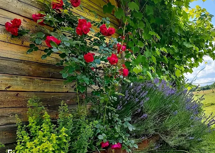 Apaluza - Gory Izerskie & Karkonosze 아파트 Kopaniec