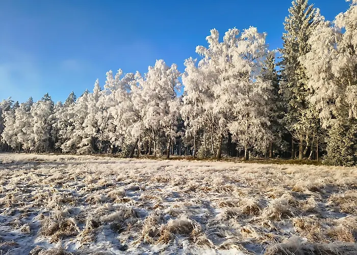 Apaluza - Gory Izerskie & Karkonosze דירה *