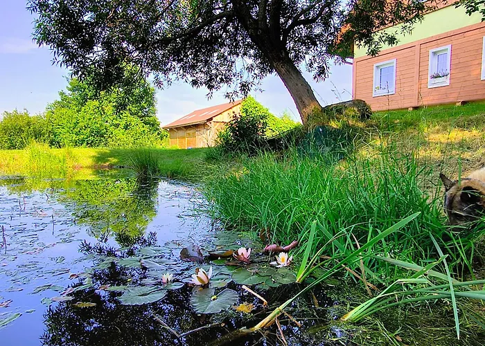 Apaluza - Gory Izerskie & Karkonosze 아파트 Kopaniec