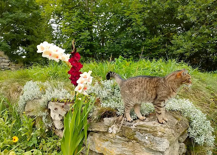 아파트 Apaluza - Gory Izerskie & Karkonosze *