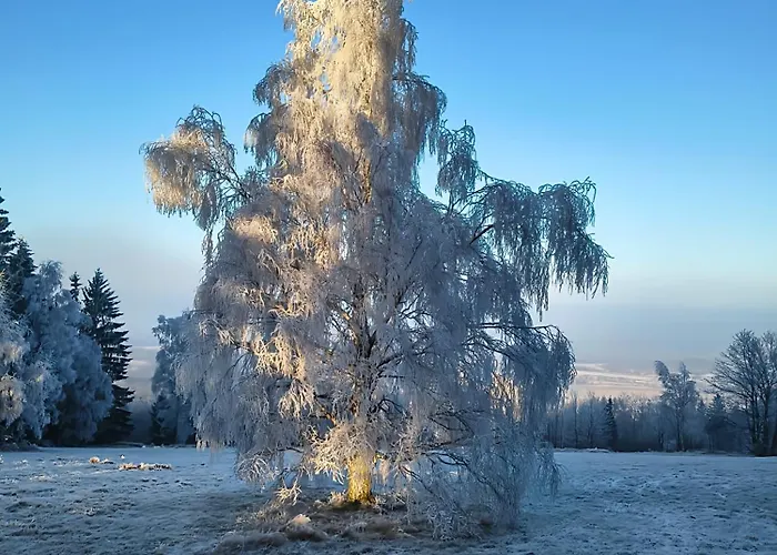 Apaluza - Gory Izerskie & Karkonosze *