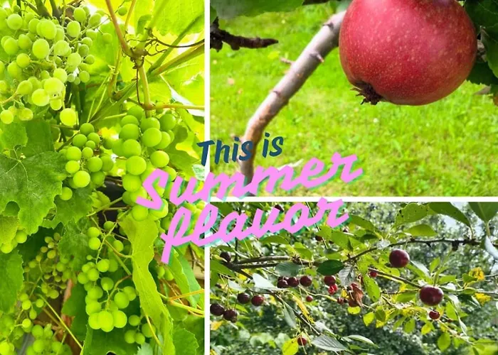 아파트 Apaluza - Gory Izerskie & Karkonosze *